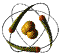 geo
